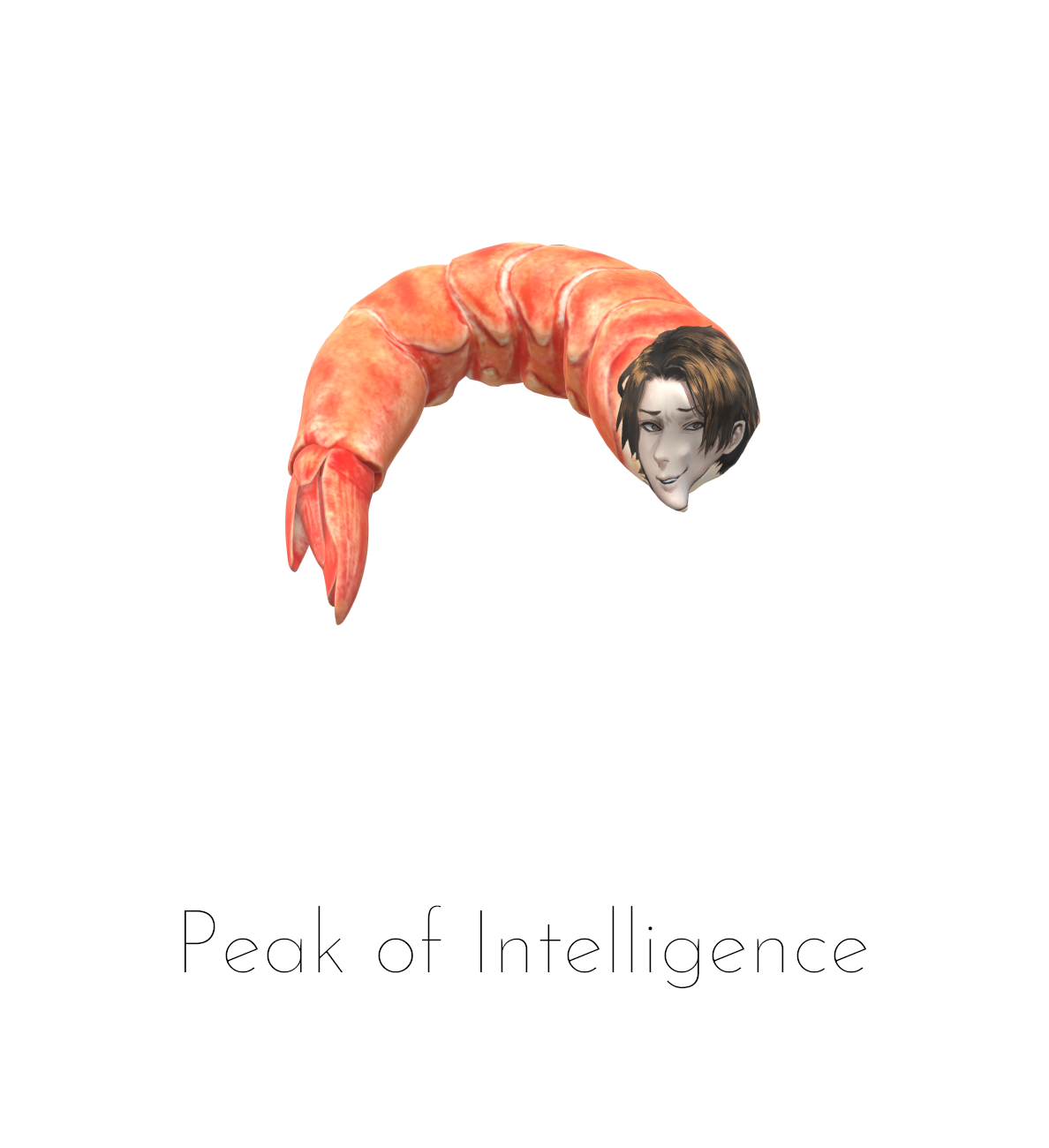 prikol